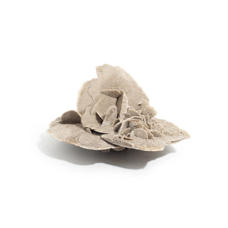 Elephant Ear Selenite Cluster
