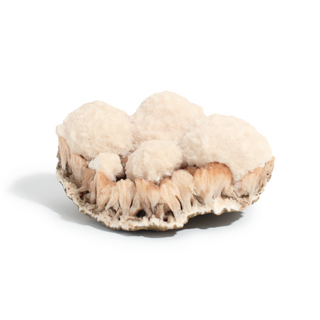 Scolecite and Stilbite Cluster Unique #1 from The Rock Space