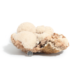 Scolecite and Stilbite Cluster Unique #2 from The Rock Space