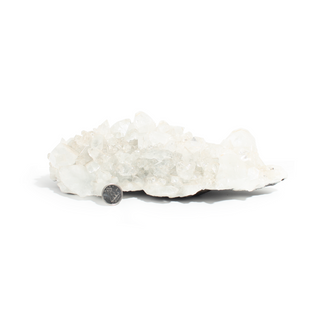 Apophyllite Cluster Unique #6 from The Rock Space