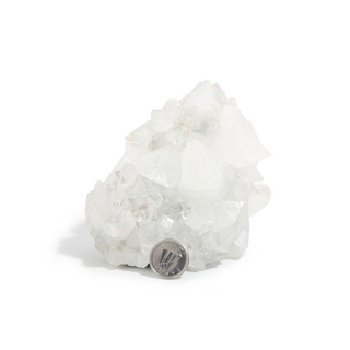 Apophyllite Cluster Unique #9 from The Rock Space