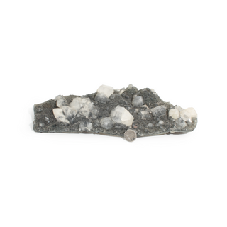 Apophyllite on Basalt Cluster Unique #34 from The Rock Space