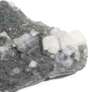Apophyllite on Basalt Cluster Unique #34 from The Rock Space