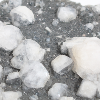 Apophyllite on Basalt Cluster Unique #35 from The Rock Space