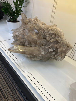 Smoky Quartz Cluster Unique #9 from The Rock Space