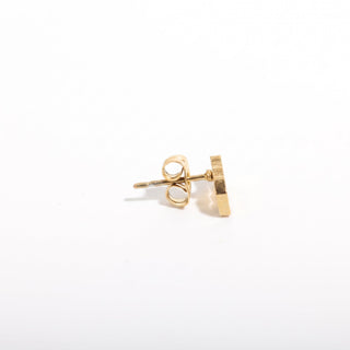 Gold Plated Zodiac Earrings from Stonebridge Imports