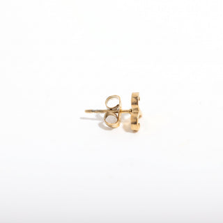 Gold Plated Zodiac Earrings from Stonebridge Imports