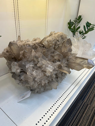Smoky Quartz Cluster Unique #9 from The Rock Space