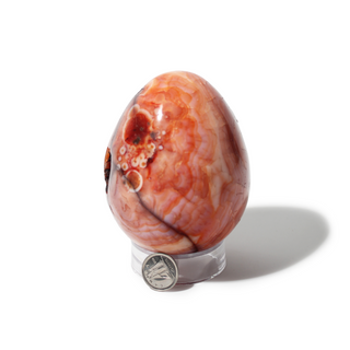 Carnelian Egg Unique #6 - 3 3/8" from Stonebridge Imports