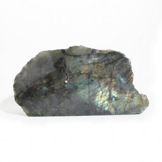 Labradorite Polished Face Cut Base Unique #1, a freeform slab with teal and gold flash across its polished face and a flat sawn base, photographed on a clean white background. Stonebridge Imports.