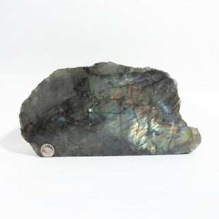 Labradorite Polished Face Cut Base Unique #1 shown beside a Canadian dime for scale, its blue-green flash visible across the polished face, on a clean white background. Stonebridge Imports.