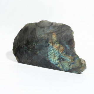 Labradorite Polished Face Cut Base Unique #1 tilted to catch the light, showing bright turquoise and amber labradorescence, photographed on a clean white background. Stonebridge Imports.