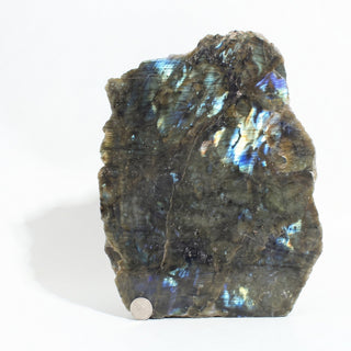 Labradorite Polished Face Cut Base Unique #2 from Stonebridge Imports