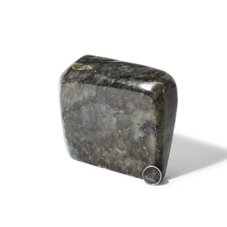 Labradorite Freeform Unique #5 - 3 7/8" from Stonebridge Imports