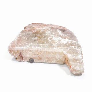 Selenite Window Slab Unique #22 - 30" from The Rock Space