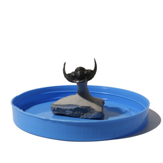 Trilobite Fossil on Stone Stand - U#04 - 1" from The Rock Space