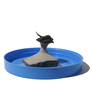 Trilobite Fossil on Stone Stand - U#04 - 1"    from Stonebridge Imports