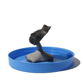 Trilobite Fossil on Stone Stand - U#08 - 2 3/4"    from Stonebridge Imports