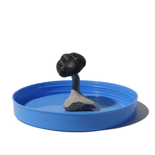 Trilobite Fossil on Stone Stand - U#16 - 3/4"    from Stonebridge Imports