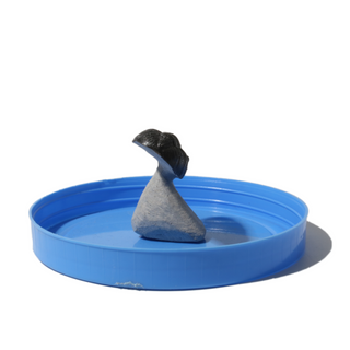 Trilobite Fossil on Stone Stand - U#18 - 2"    from Stonebridge Imports