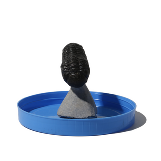 Trilobite Fossil on Stone Stand - U#20 - 2" from The Rock Space