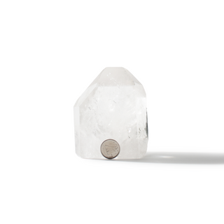 Clear Quartz with Inclusions Generator Unique #9 - 3 3/8" from The Rock Space
