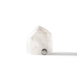 Clear Quartz Generator Unique #102- 3 1/2" from The Rock Space