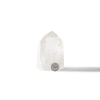 Clear Quartz Generator Unique #103 - 3 1/2" from The Rock Space