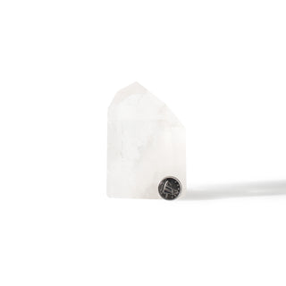 Clear Quartz Generator Unique #82 - 4" from The Rock Space
