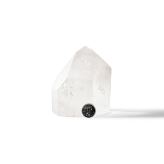 Clear Quartz Generator Unique #85 - 4" from Stonebridge Imports