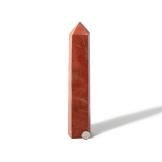 Red Jasper Generator Unique #1 - 9" from The Rock Space