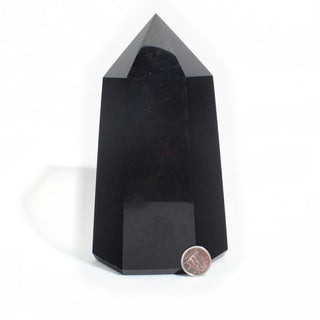 Black Obsidian Generator Unique #3 - 6" from Stonebridge Imports