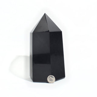Black Obsidian Generator Unique #4 - 6" from Stonebridge Imports