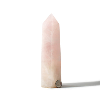 Rose Quartz Generator U#5 - 8" from The Rock Space