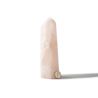 Rose Quartz Generator Unique #29 - 6" from The Rock Space