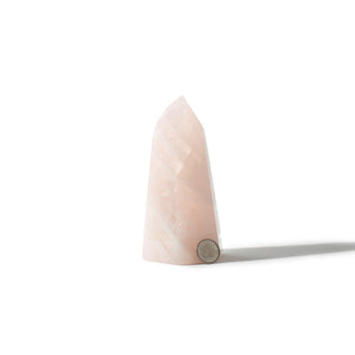 Rose Quartz Generator Unique #32 - 5 1/4" from The Rock Space