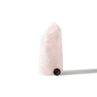 Rose Quartz Generator Unique #37 - 5 1/2" from The Rock Space