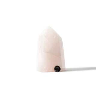 Rose Quartz Generator Unique #38 - 5 1/4" from The Rock Space