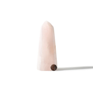 Rose Quartz Generator Unique #41 - 5 1/2" from The Rock Space