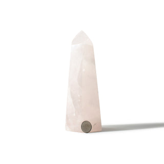 Rose Quartz Generator Unique #42 - 6 1/2" from The Rock Space