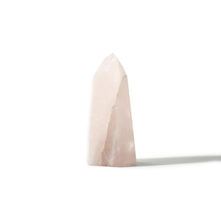 Rose Quartz Generator Unique #48 - 5 1/2" from The Rock Space