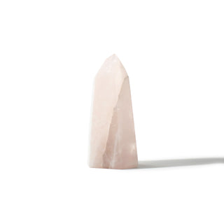 Rose Quartz Generator Unique #48 - 5 1/2" from The Rock Space