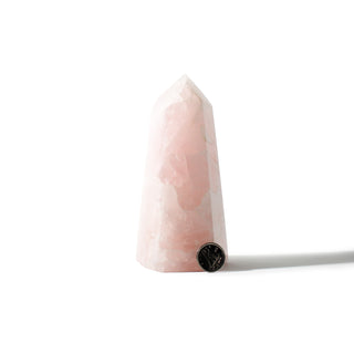 Rose Quartz Generator Unique #49 - 5" from The Rock Space
