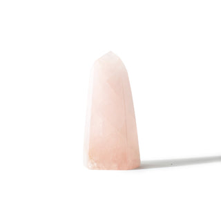 Rose Quartz Generator Unique #50 - 6" from The Rock Space