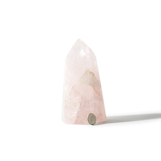 Rose Quartz Generator Unique #57 - 5 1/2" from The Rock Space