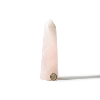 Rose Quartz Generator Unique #58 - 6 1/2" from The Rock Space