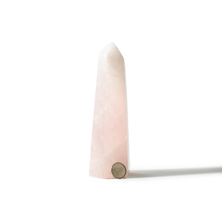 Rose Quartz Generator Unique #58 - 6 1/2" from The Rock Space