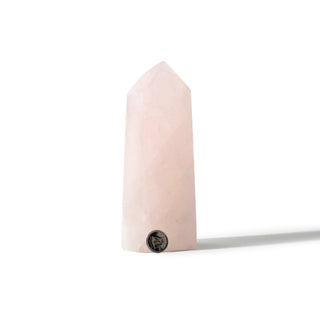 Rose Quartz Generator Unique #62 - 6 1/2" from The Rock Space