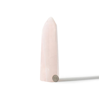 Rose Quartz Generator Unique #65 - 7" from The Rock Space