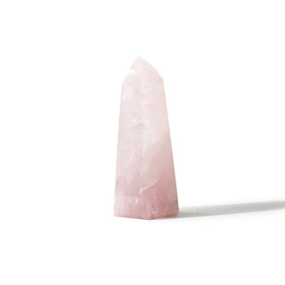 Rose Quartz Generator Unique #66 - 6" from The Rock Space